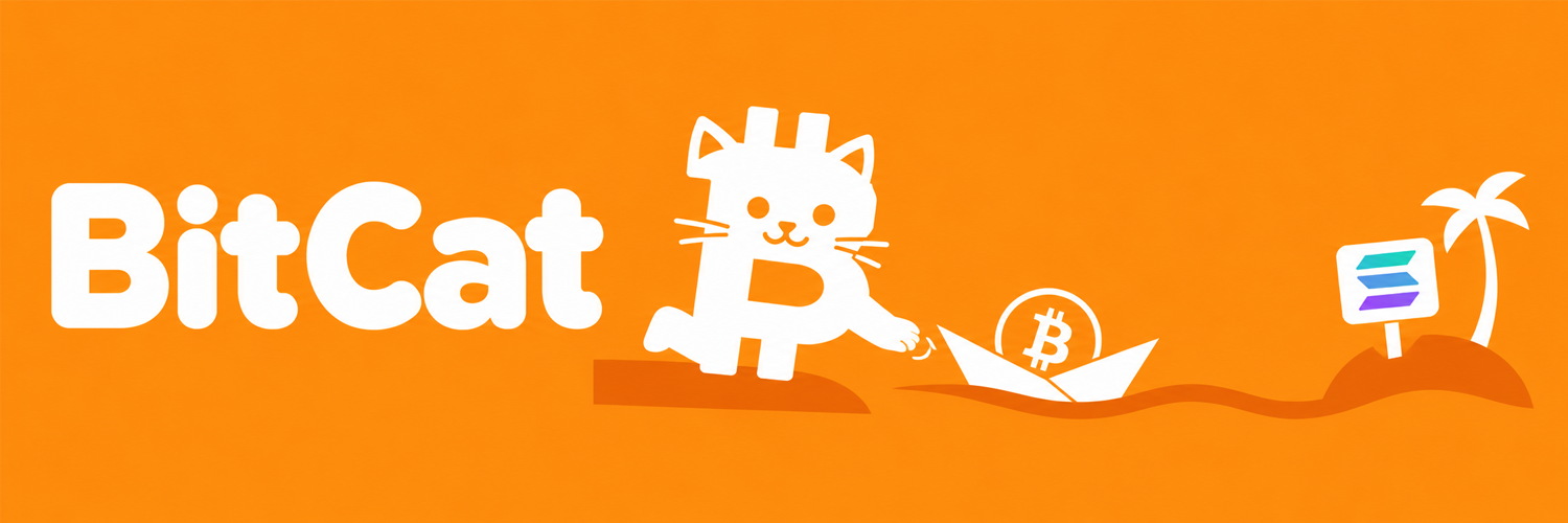 BitCat sails toward Solana shores